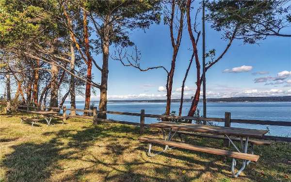 Northeast view with picnic table