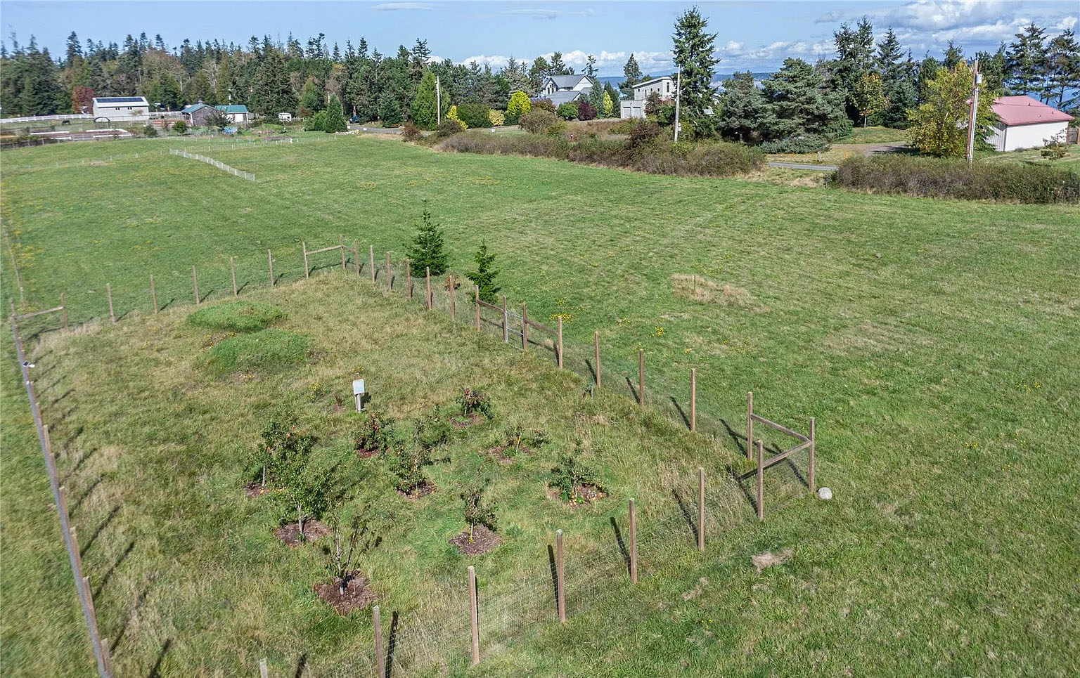 Aerial of orchard