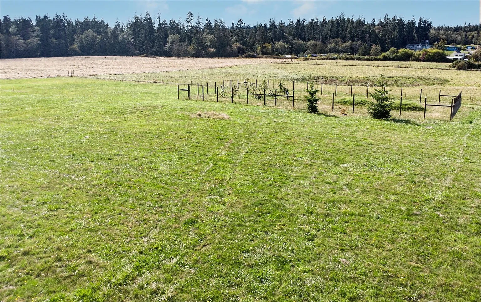 Meadow and orchard