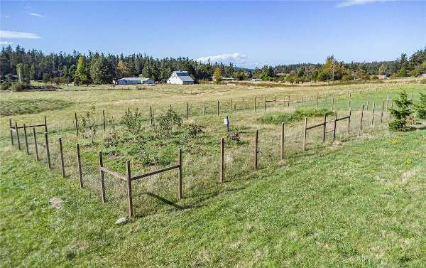 Orchard with fruit trees