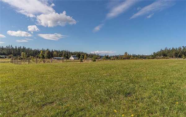 Meadow